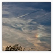 Sundog
