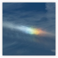 Sundog 2013