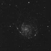 M101