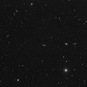 M40
