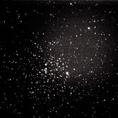 M71