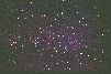 Cygnus Photo
